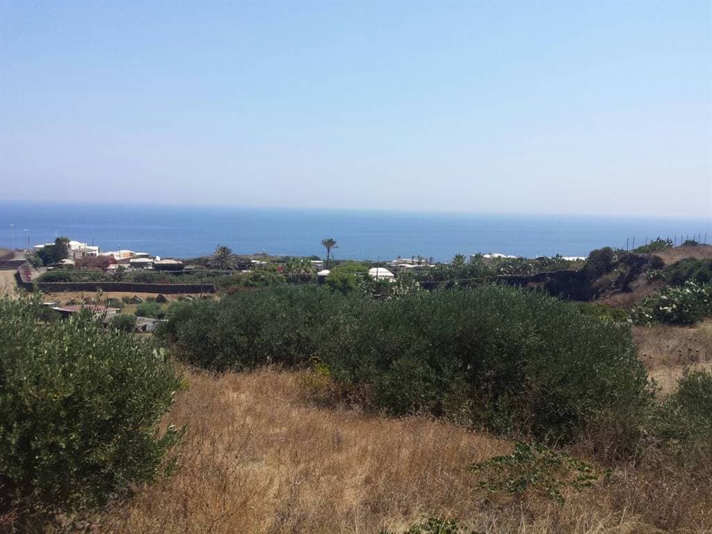 Vedi altre foto