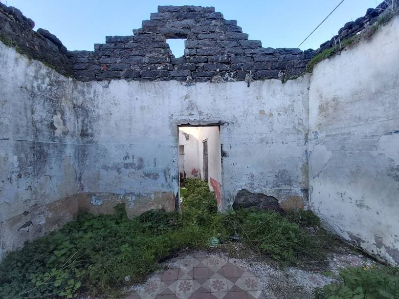 Vedi altre foto