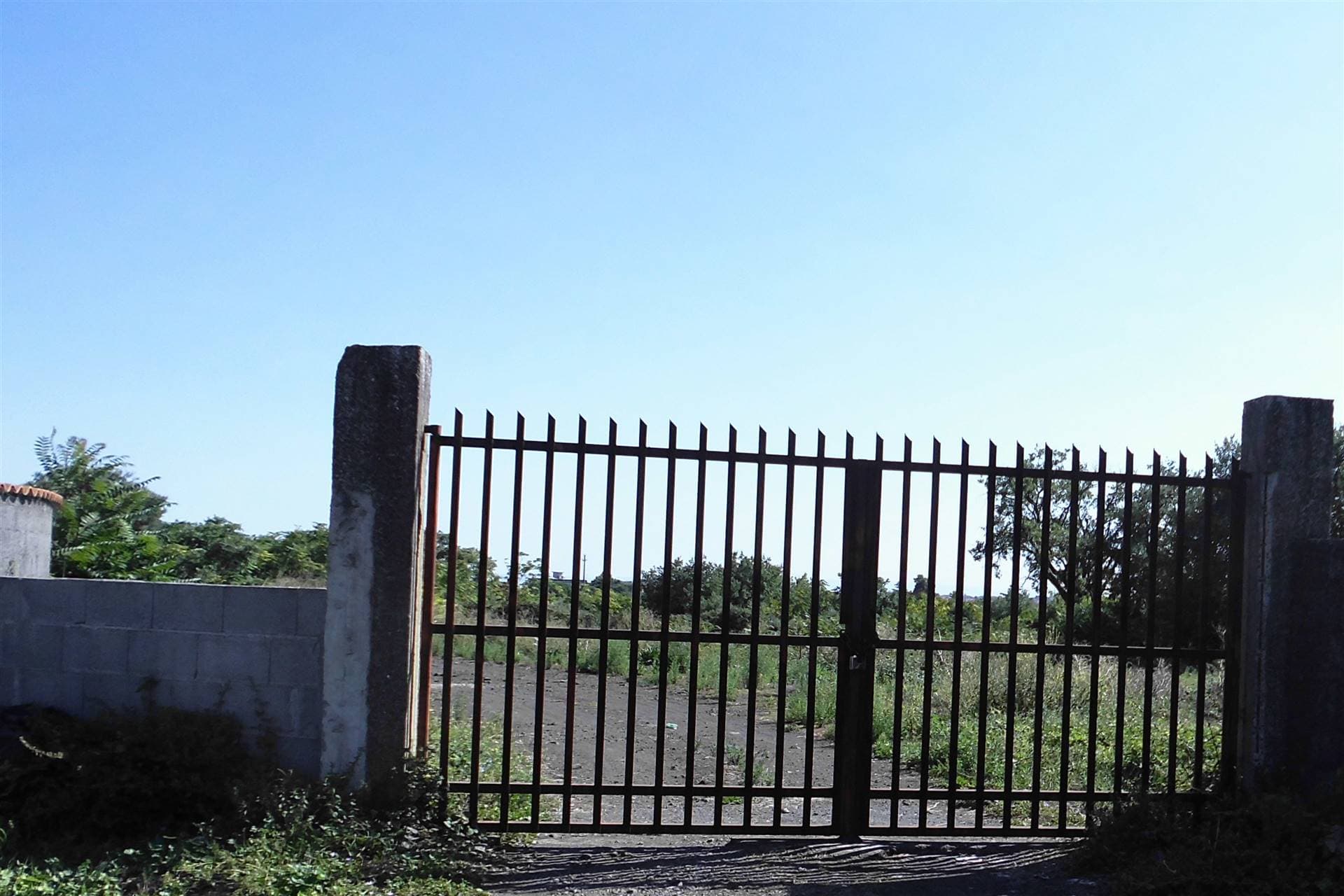 Vedi altre foto