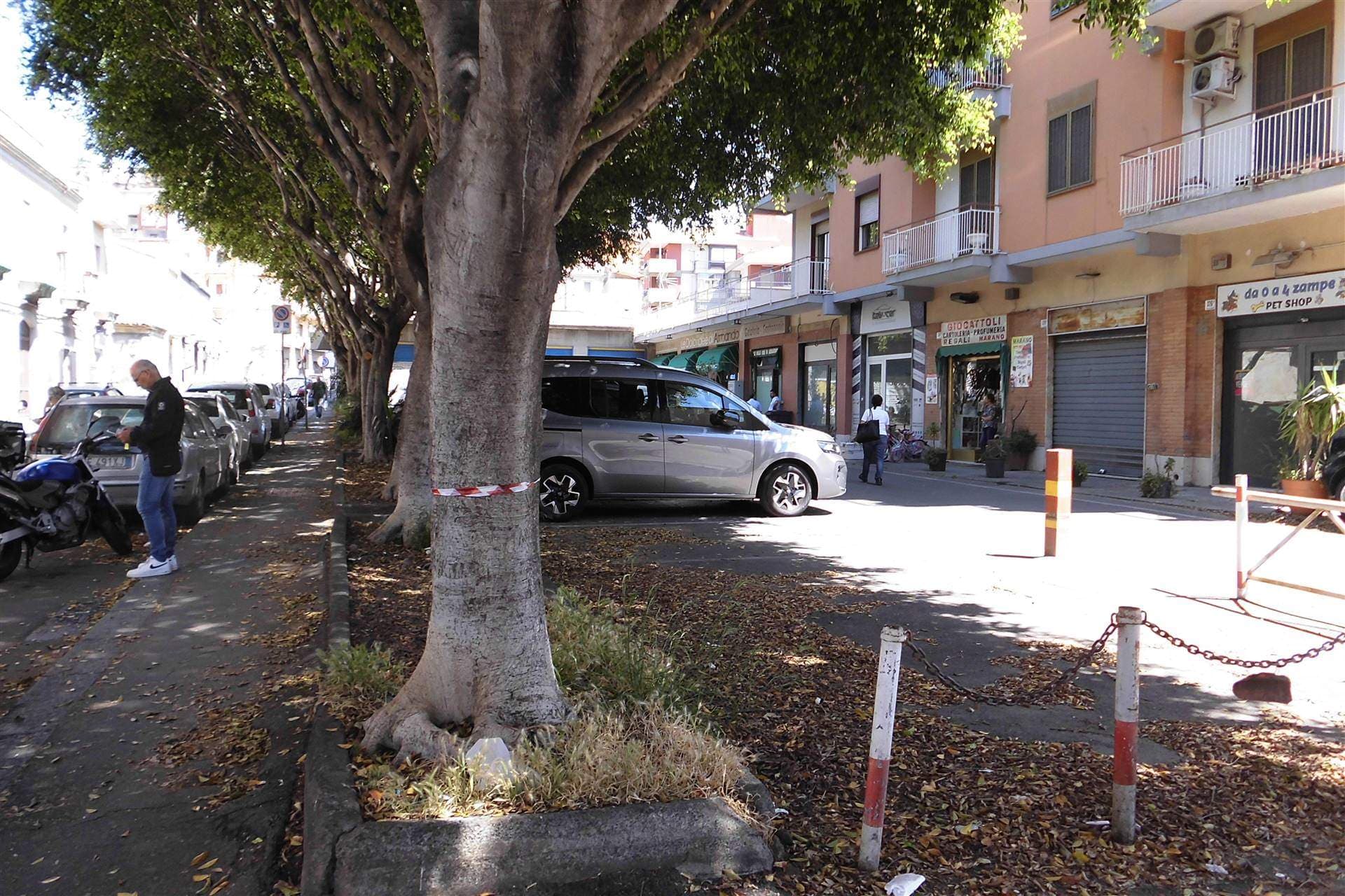 Vedi altre foto