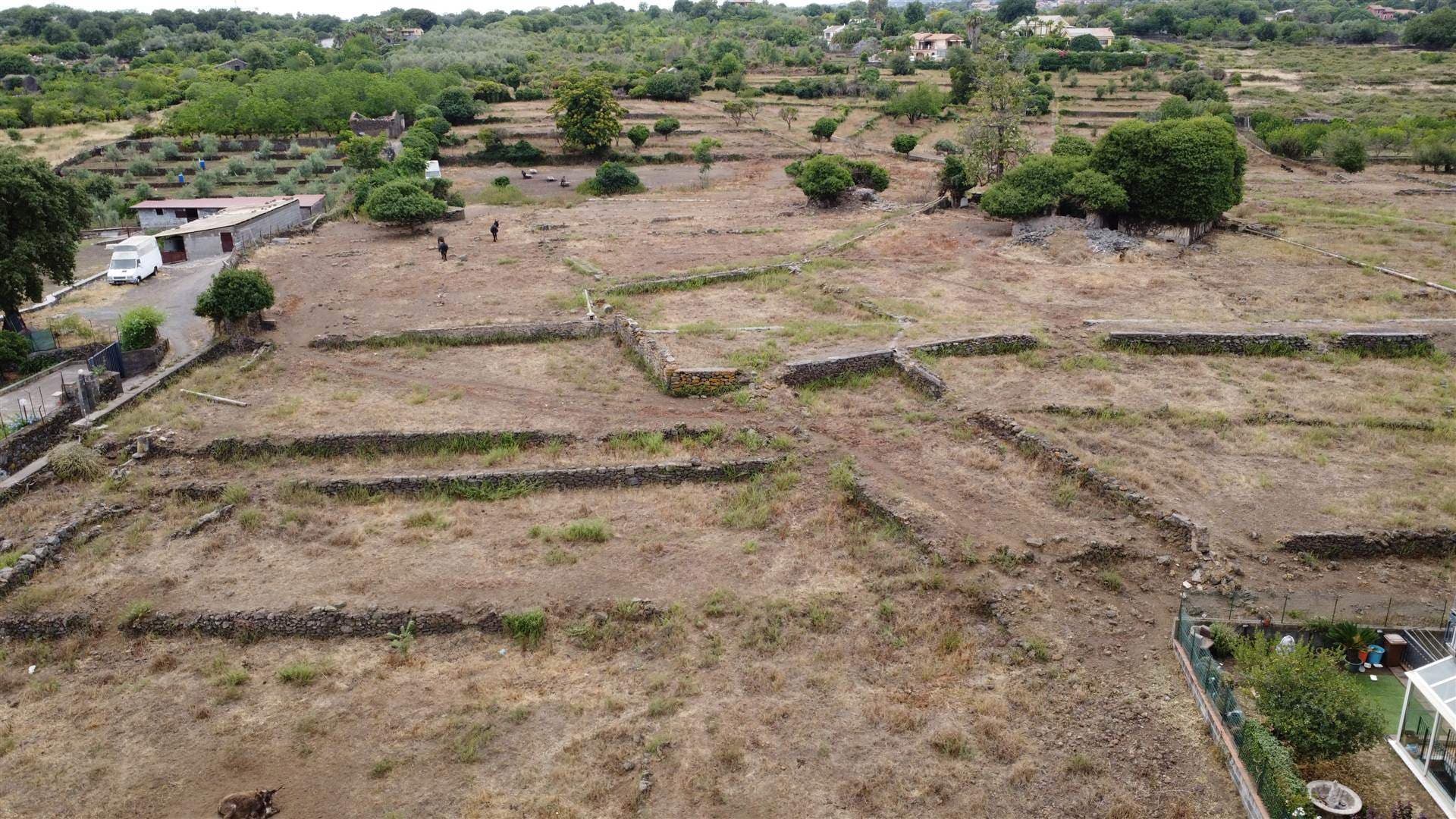 Vedi altre foto
