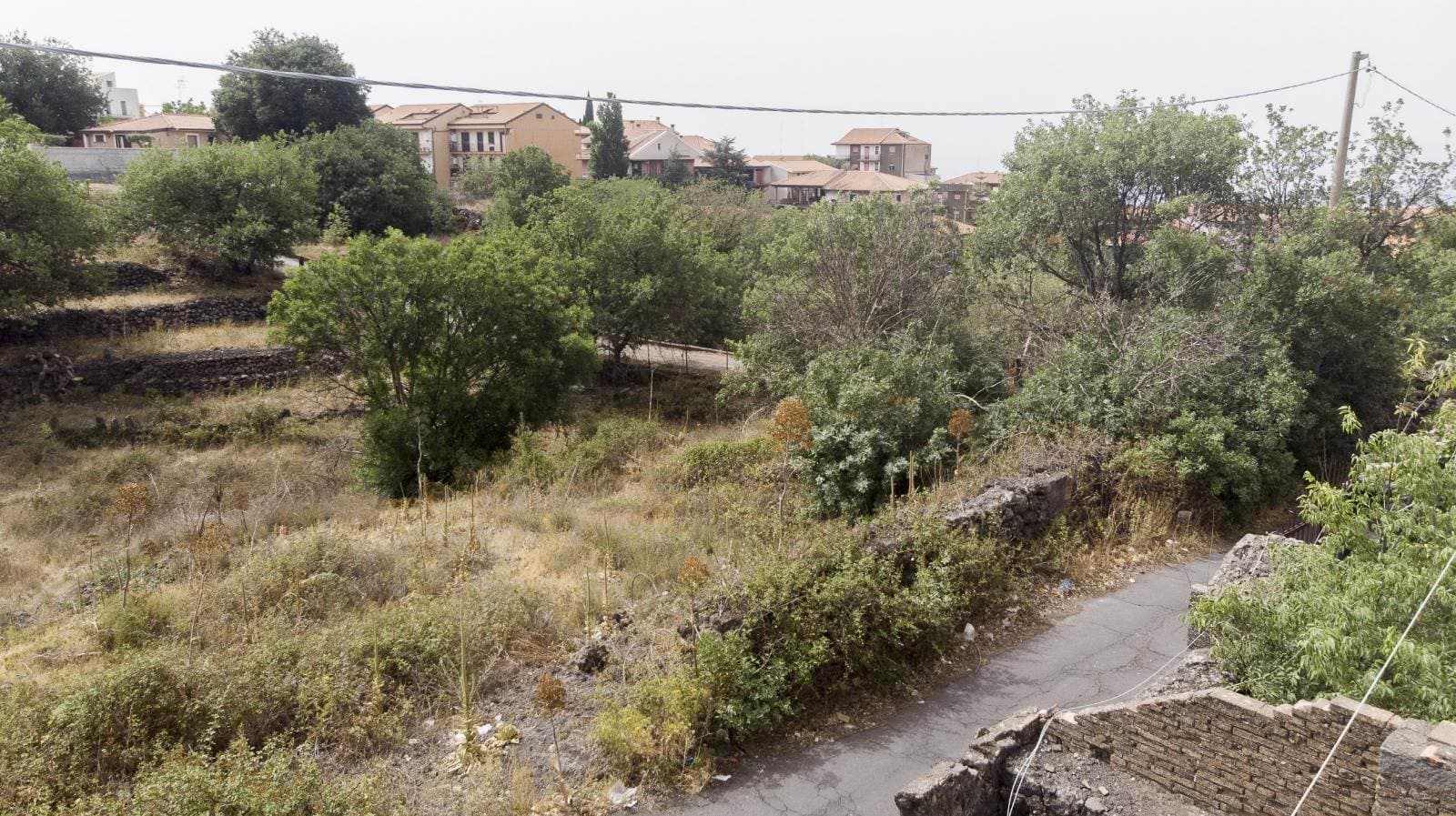 Foto 2 di 13
