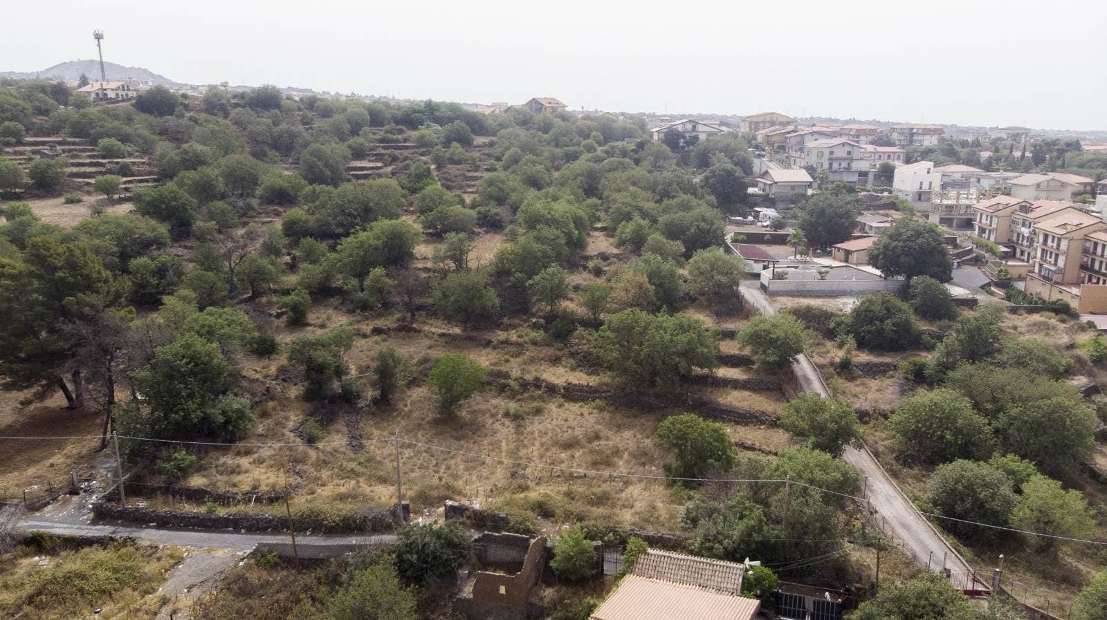 Vedi altre foto