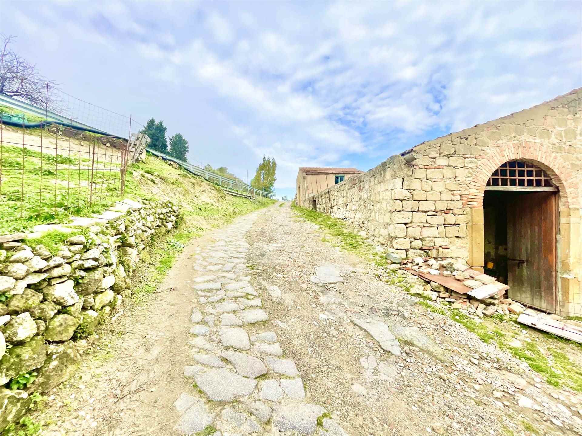 Foto 2 di 21