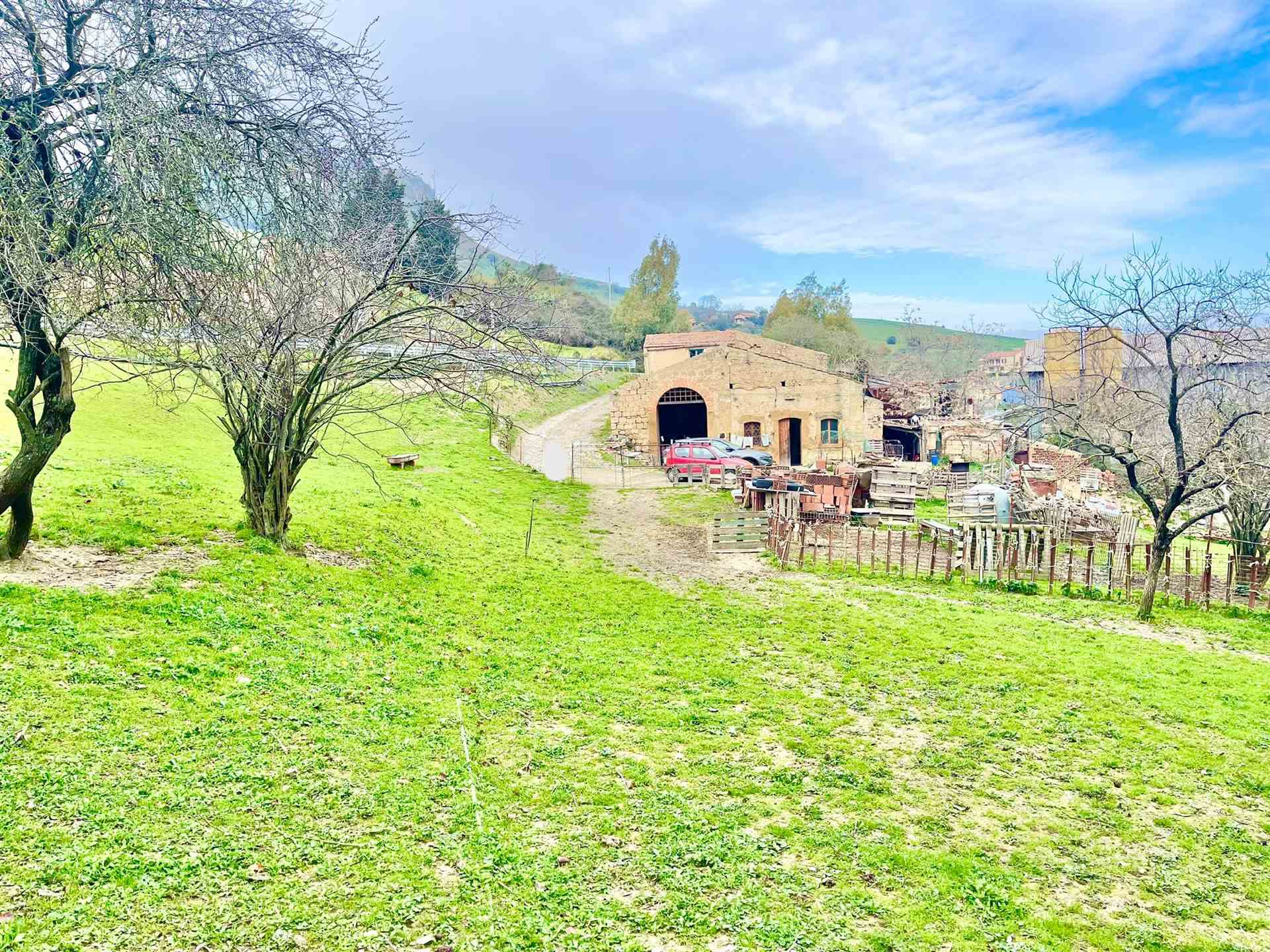 Vedi altre foto