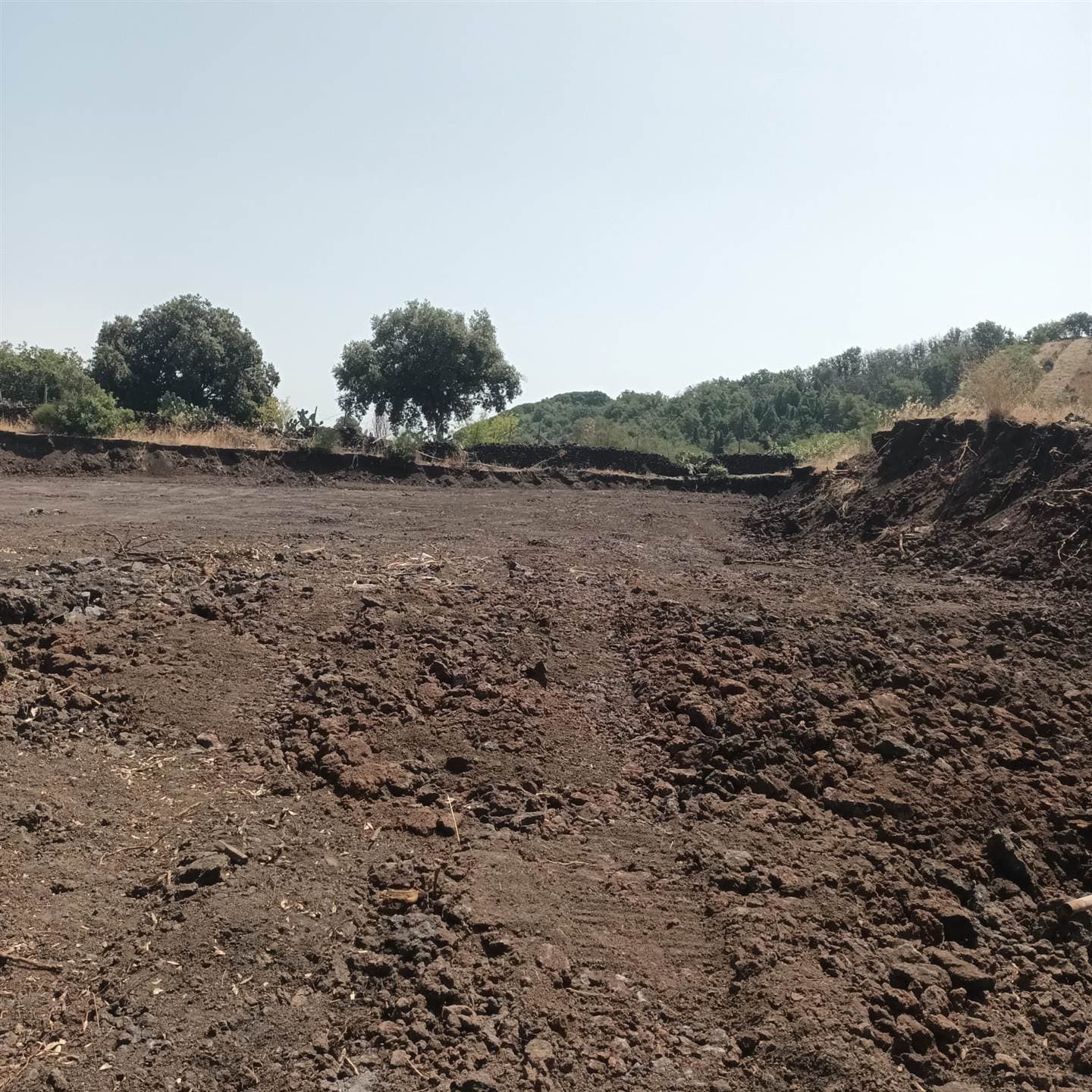 Vedi altre foto