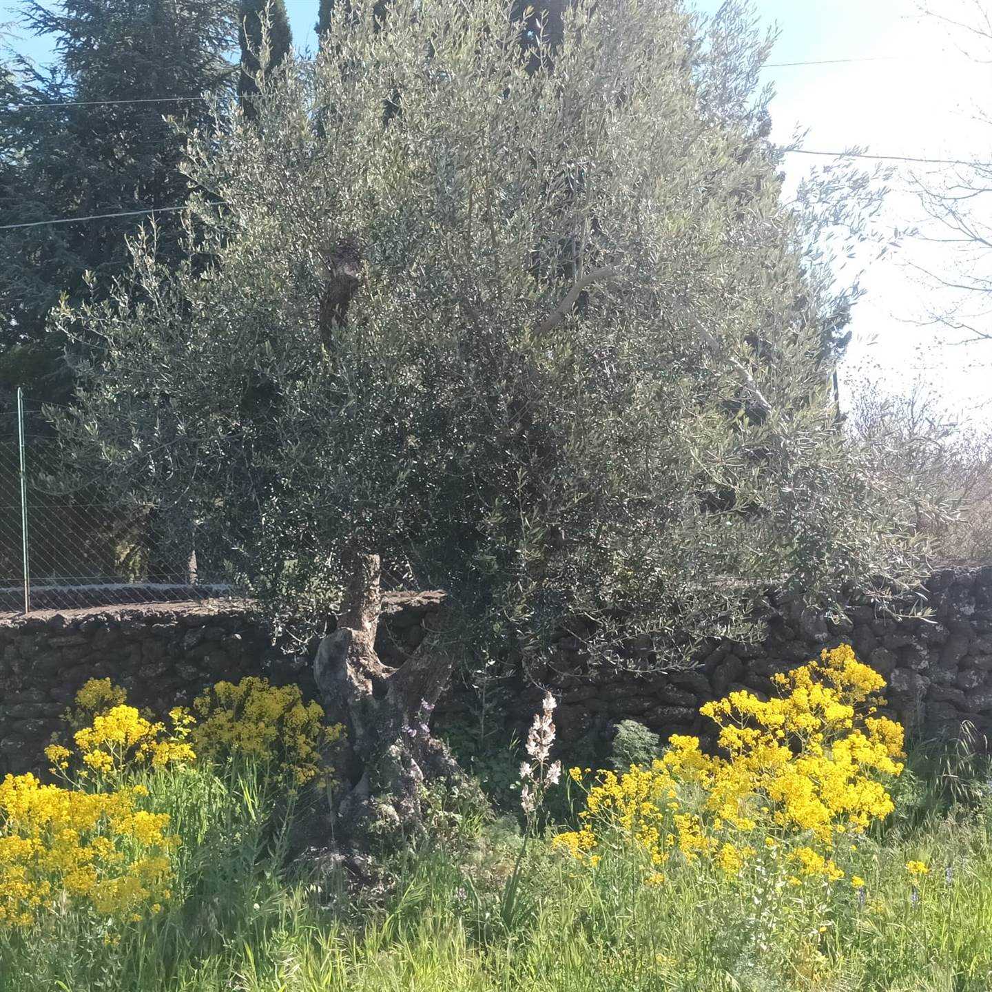 Vedi altre foto