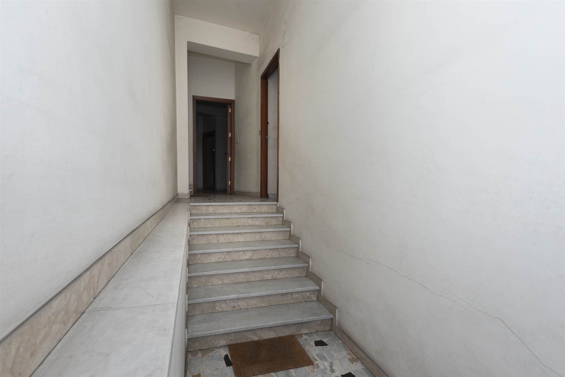 Vedi altre foto