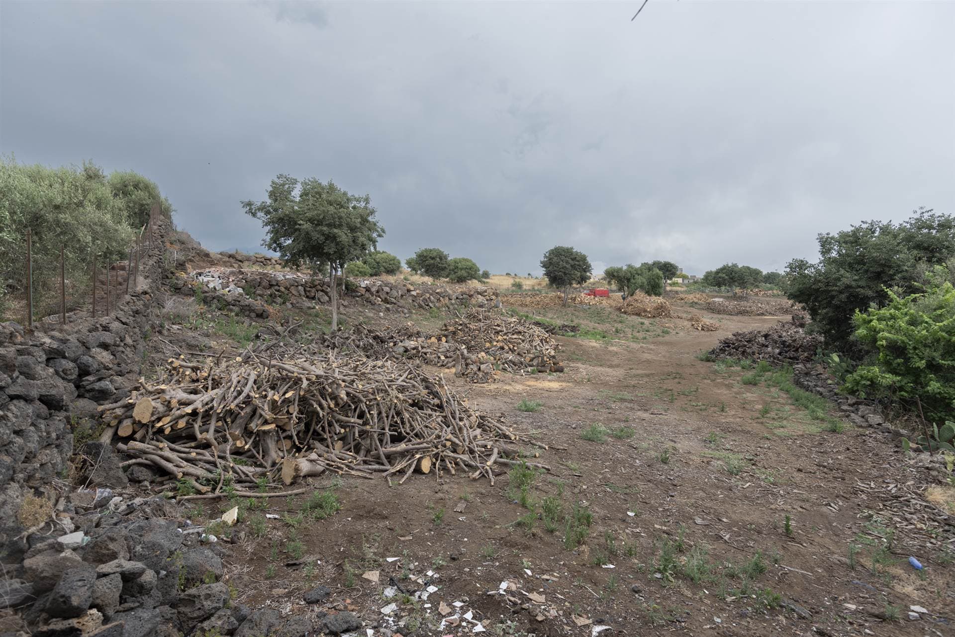 Vedi altre foto