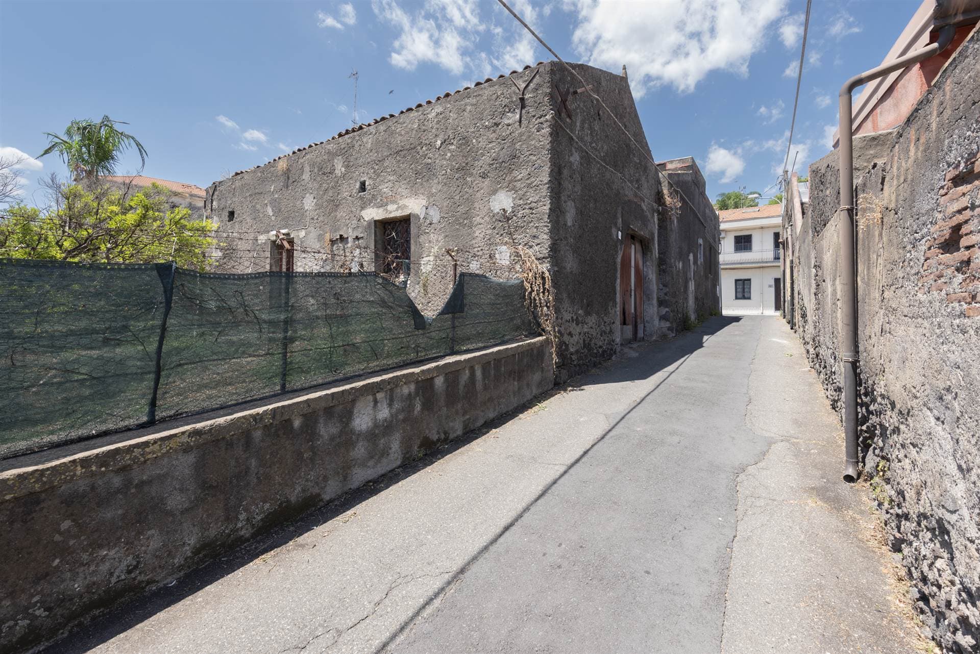 Vedi altre foto