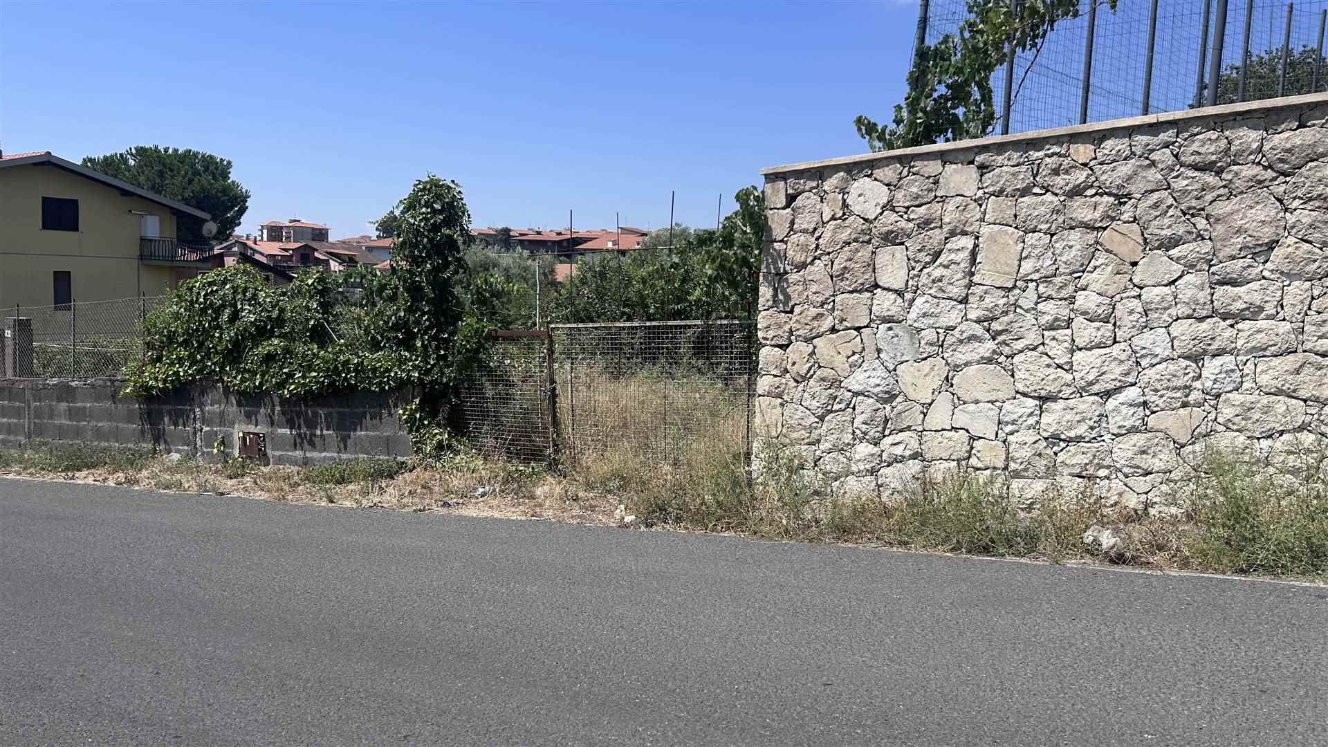 Vedi altre foto