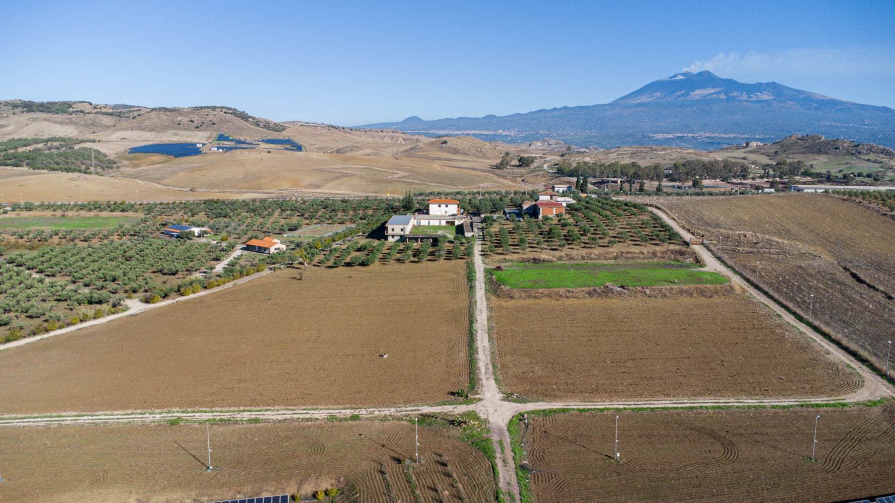 Vedi altre foto