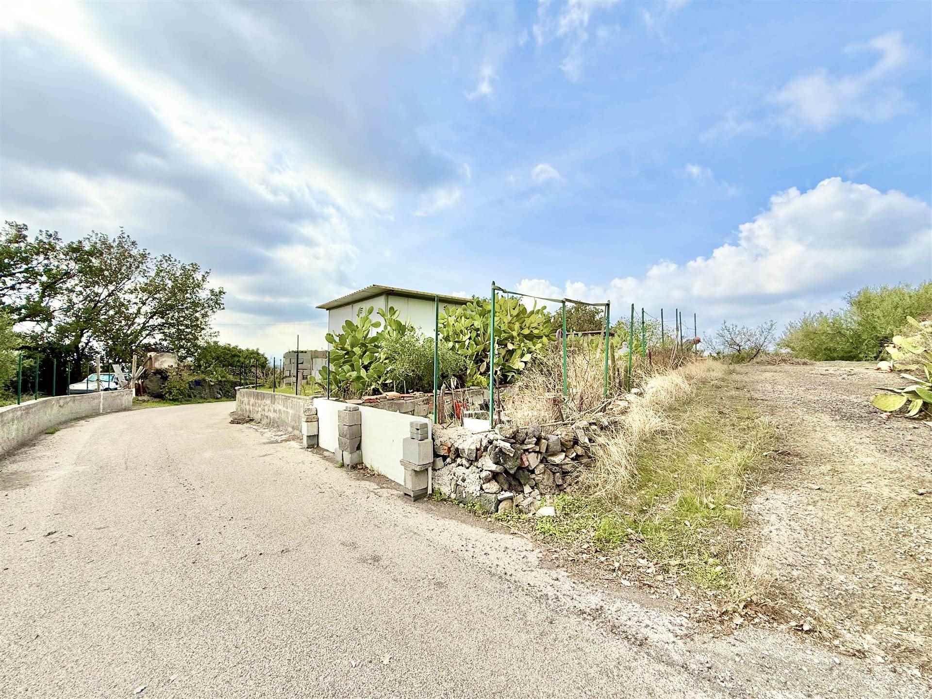 Vedi altre foto
