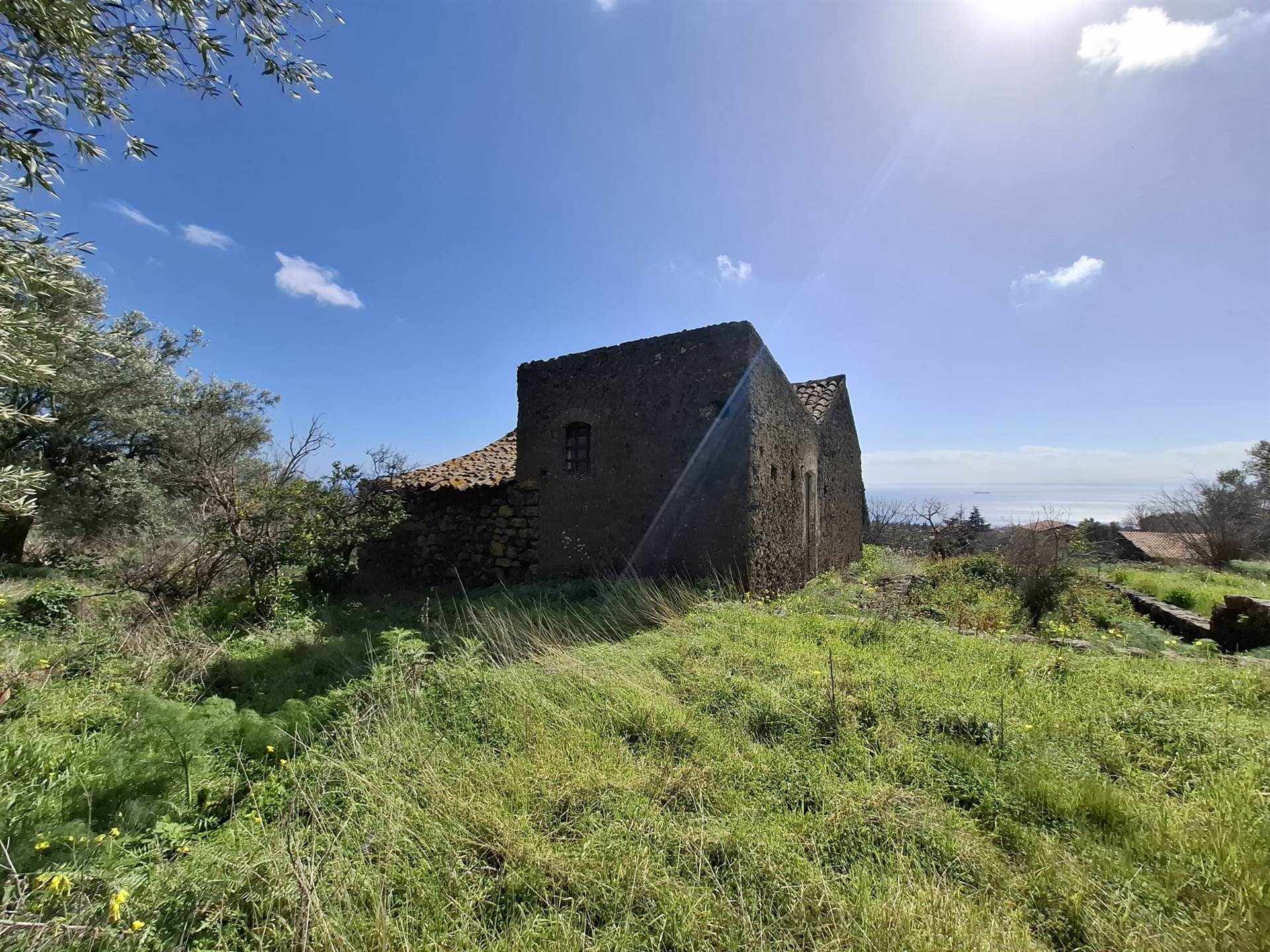 Vedi altre foto