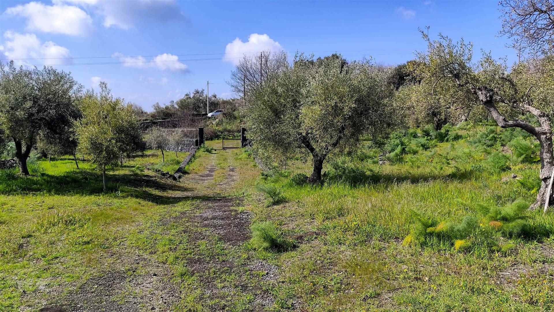 Foto 2 di 16