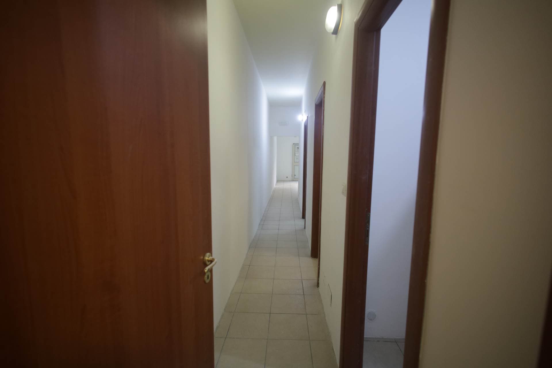 Vedi altre foto