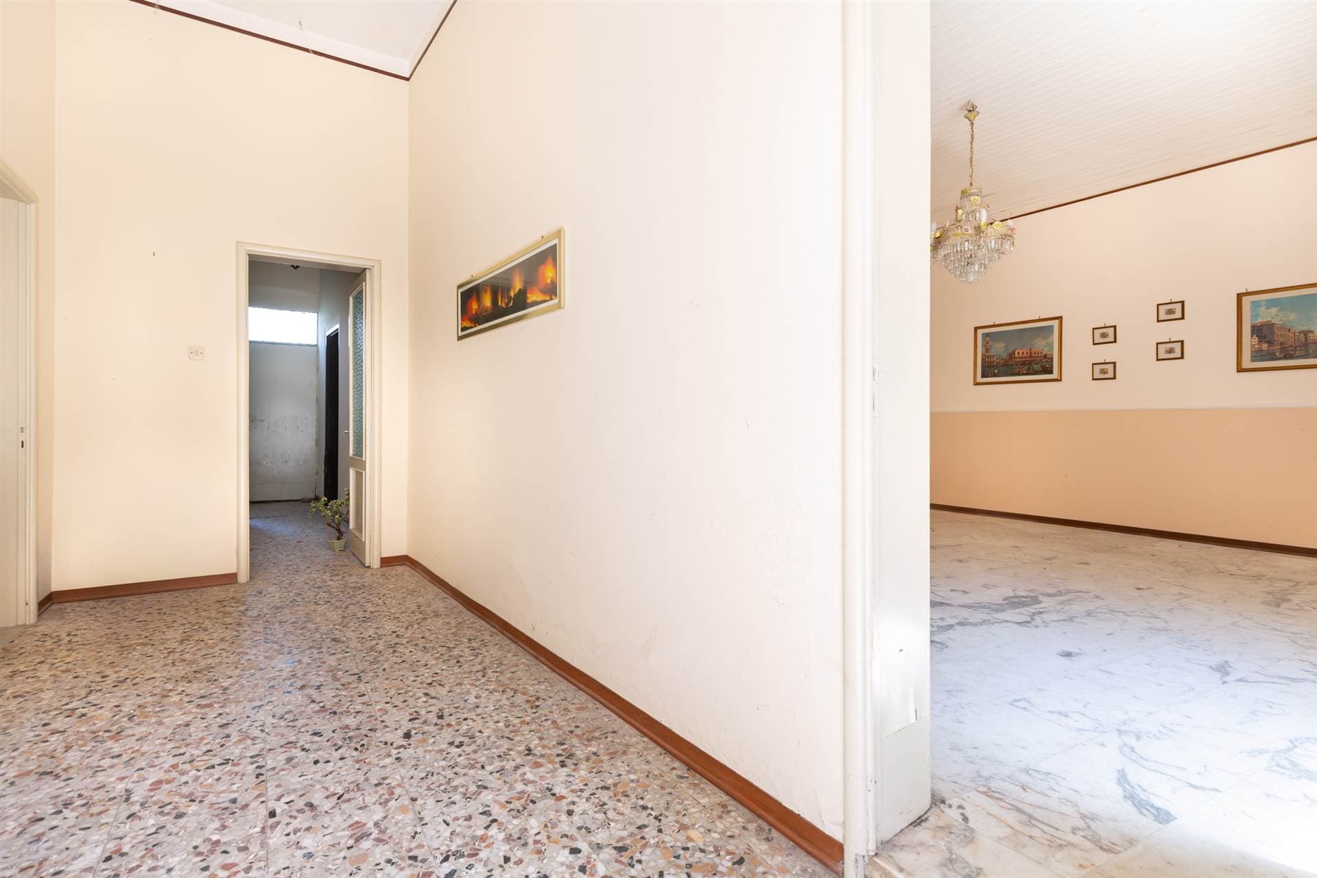 Vedi altre foto