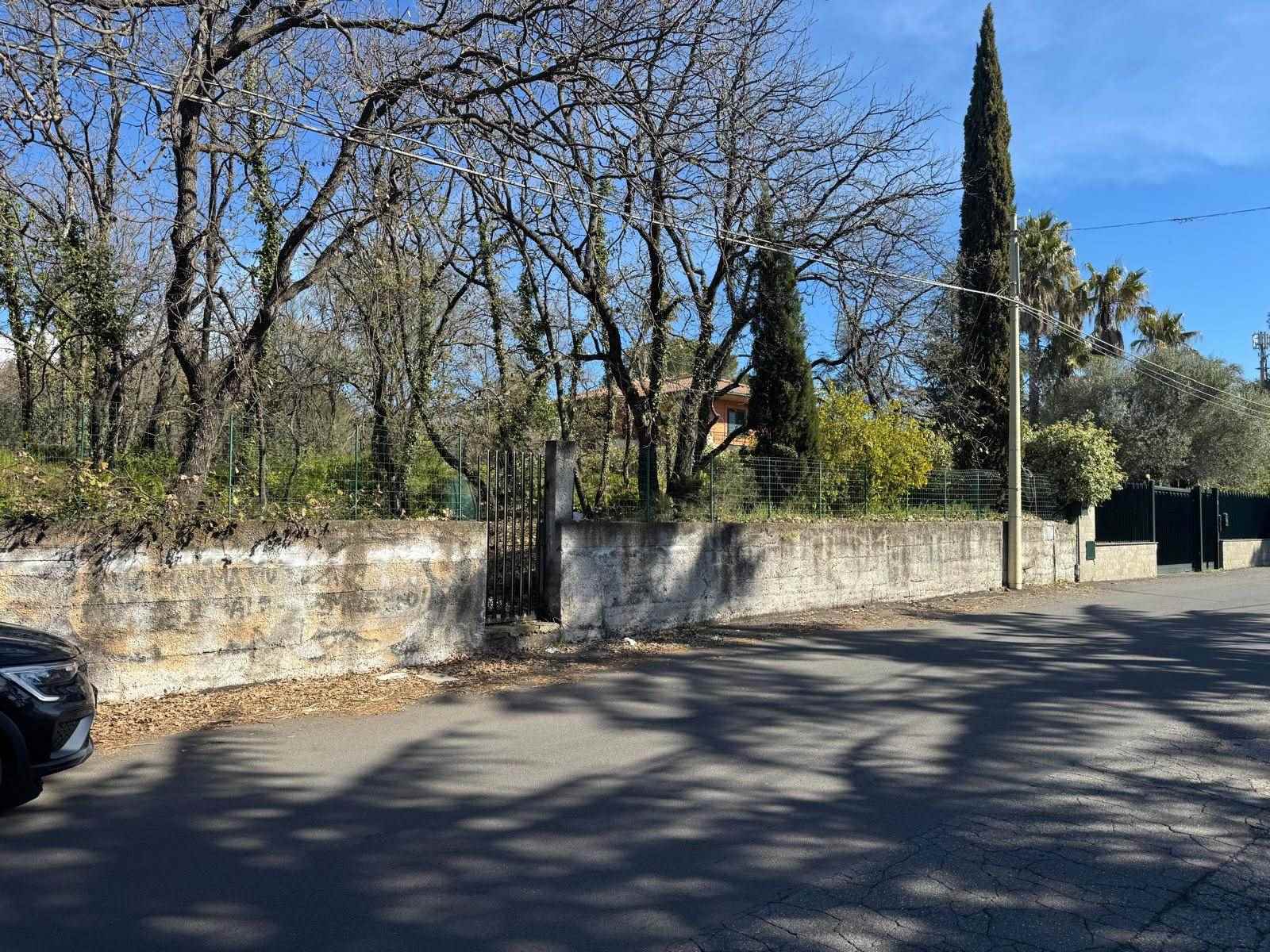 Vedi altre foto