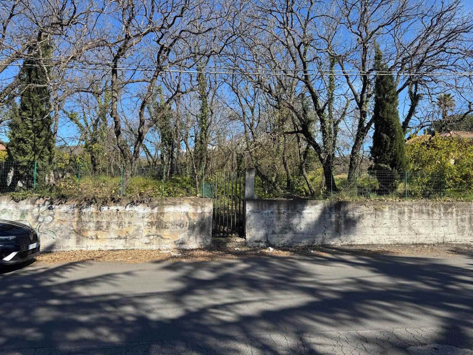 Foto 2 di 11