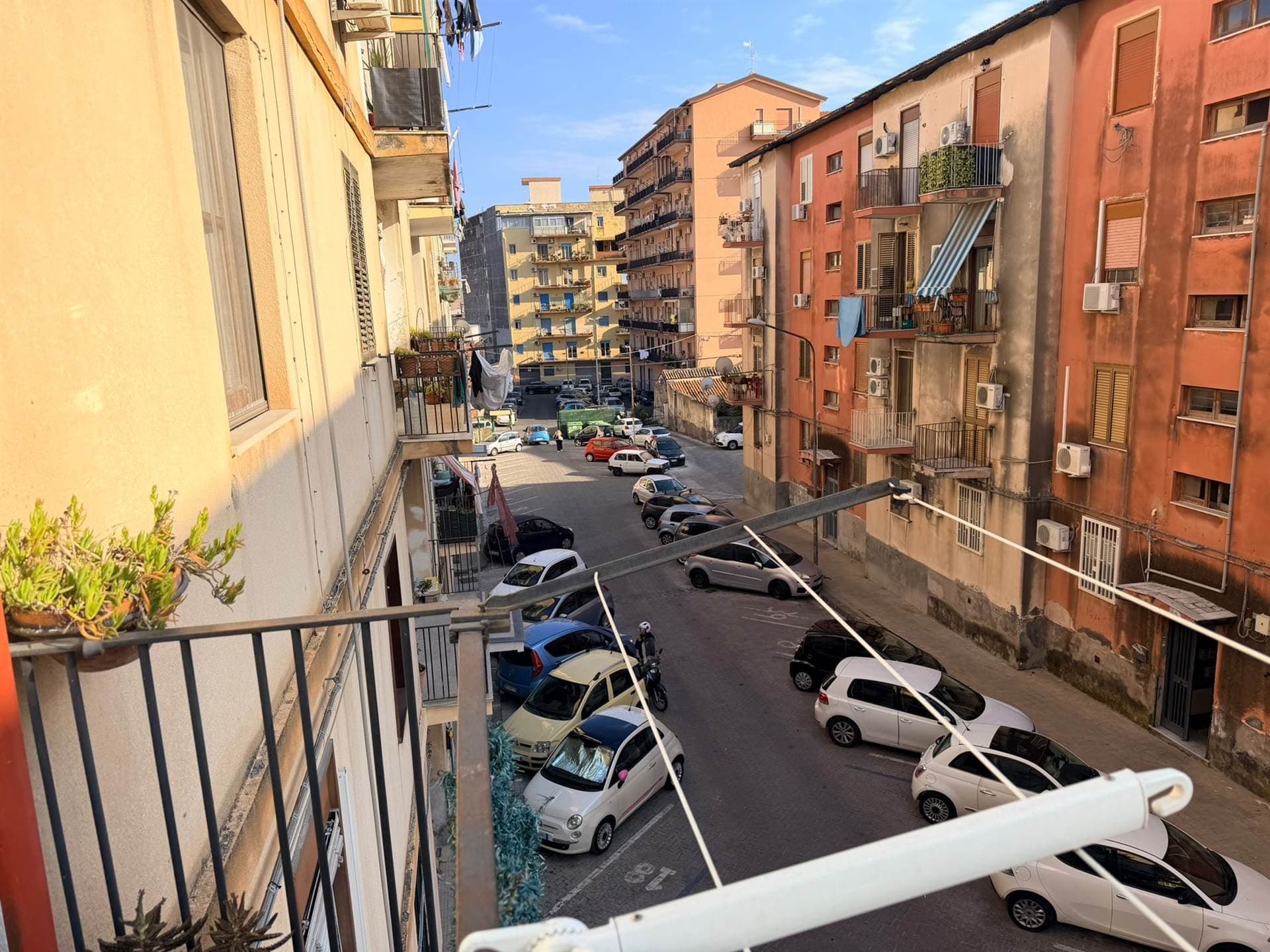 Vedi altre foto