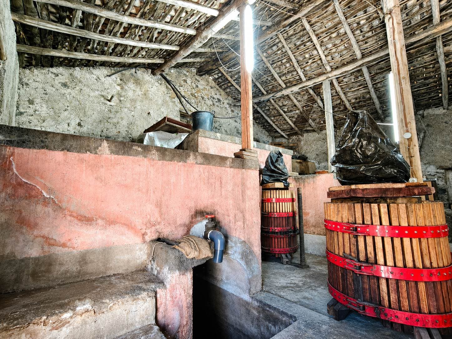 Vedi altre foto