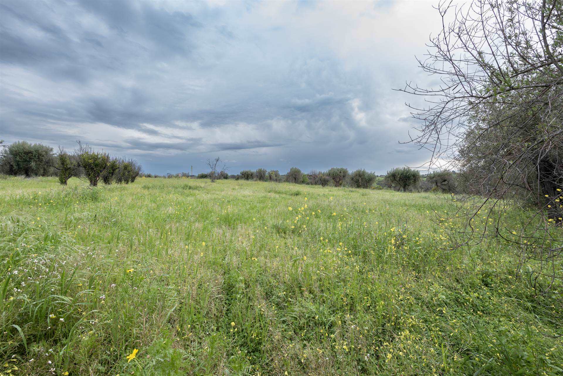 Vedi altre foto