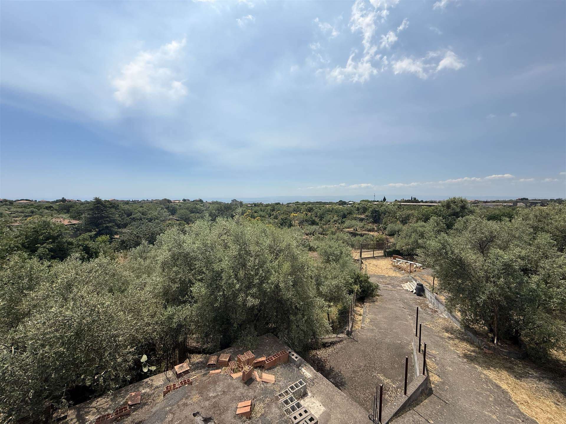 Vedi altre foto