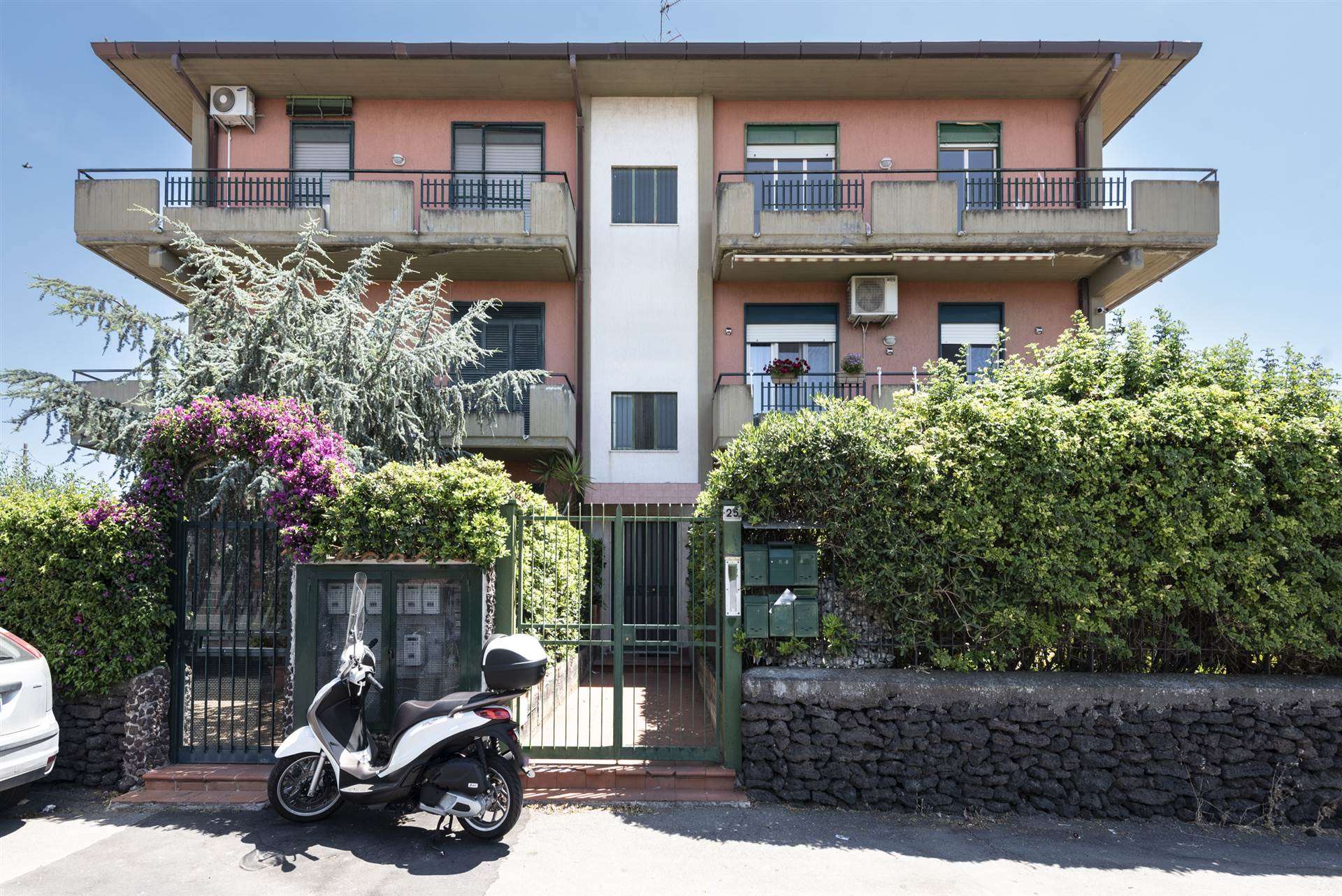 Vedi altre foto