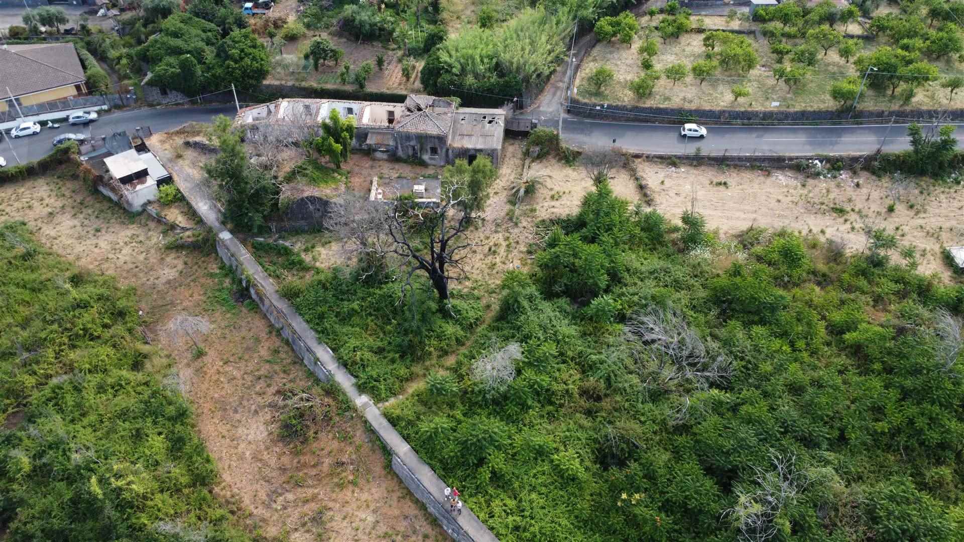 Vedi altre foto