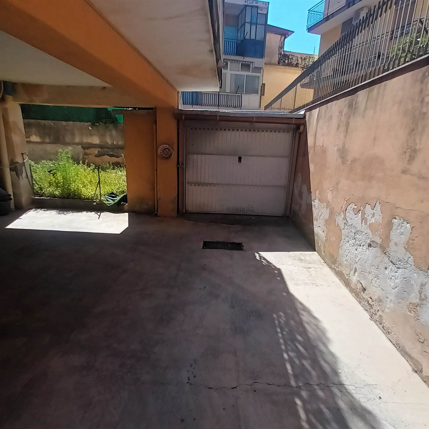 Vedi altre foto