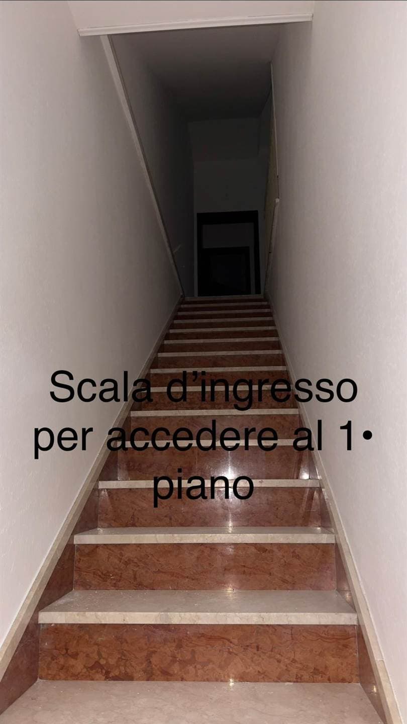 Foto 2 di 11