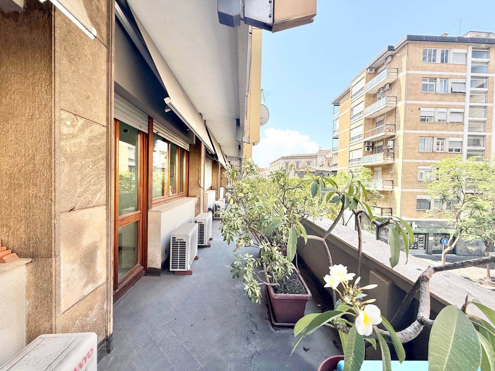 Vedi altre foto
