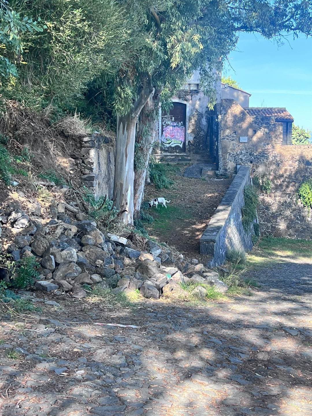 Foto 2 di 14