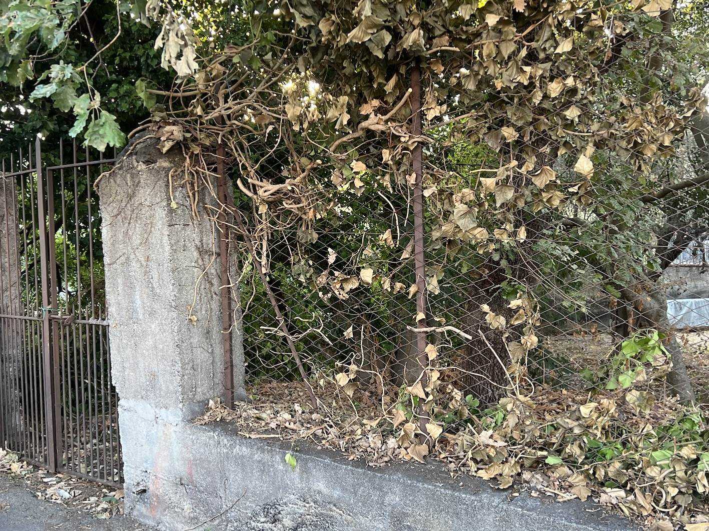 Vedi altre foto