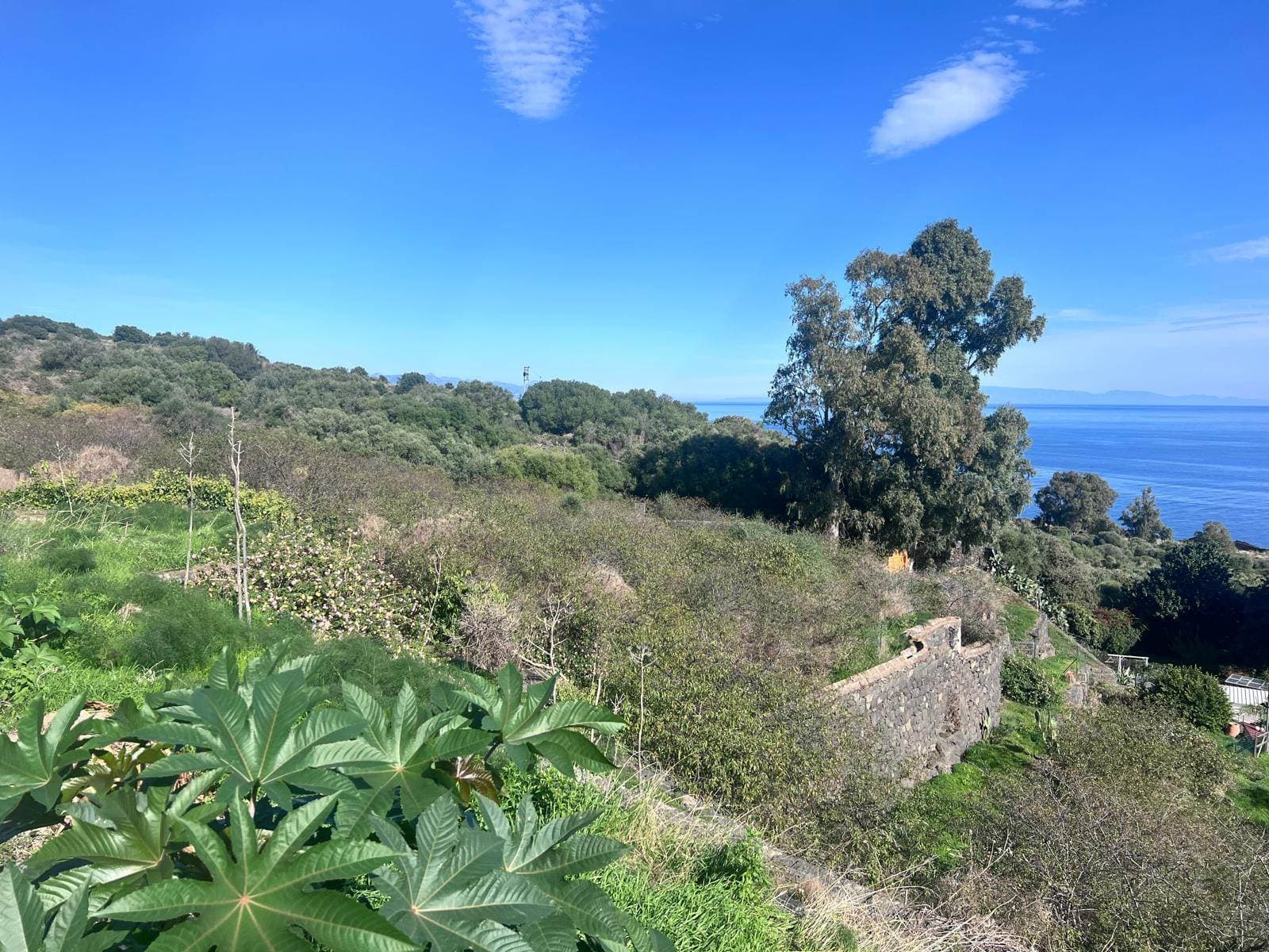 Vedi altre foto