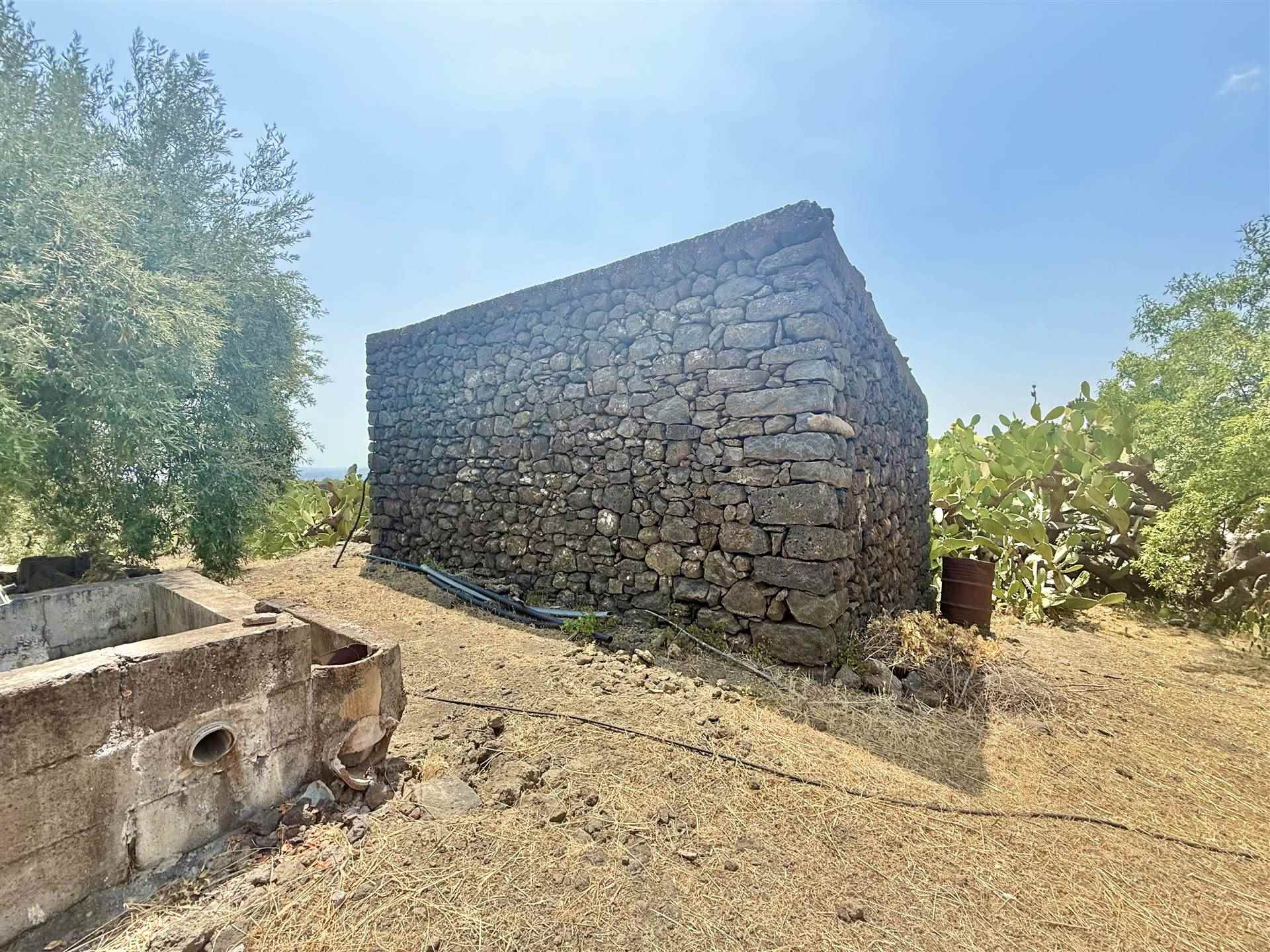 Vedi altre foto
