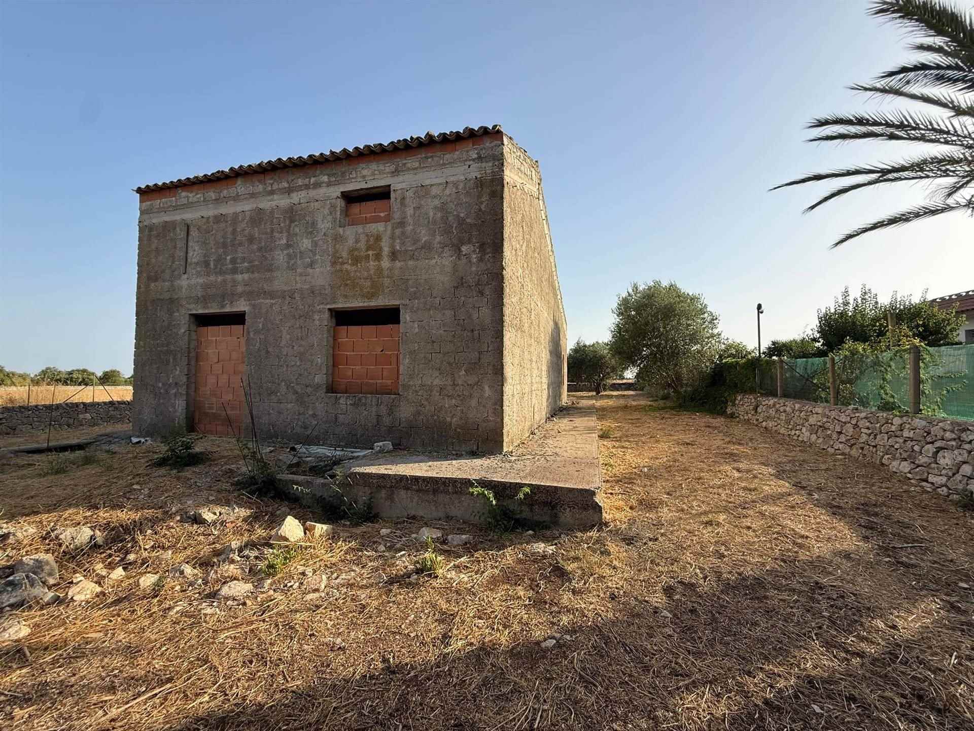 Vedi altre foto