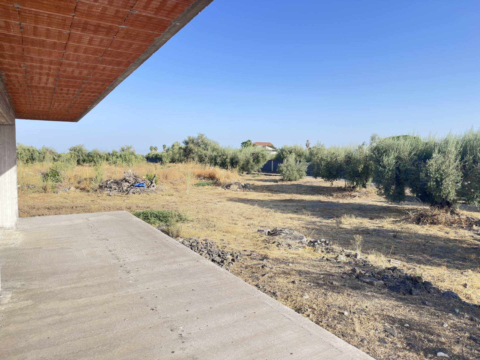 Vedi altre foto