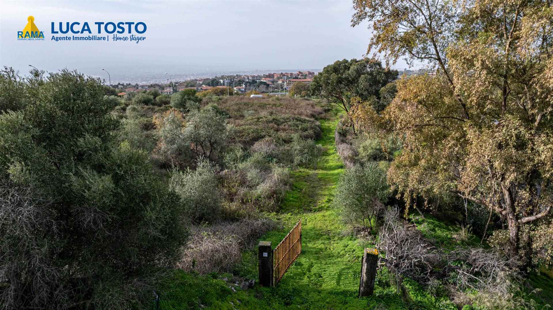 Foto 2 di 13