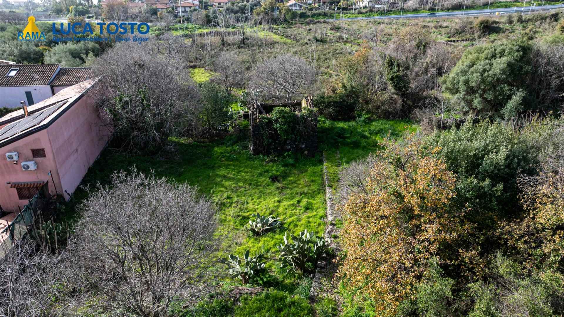 Foto 2 di 12