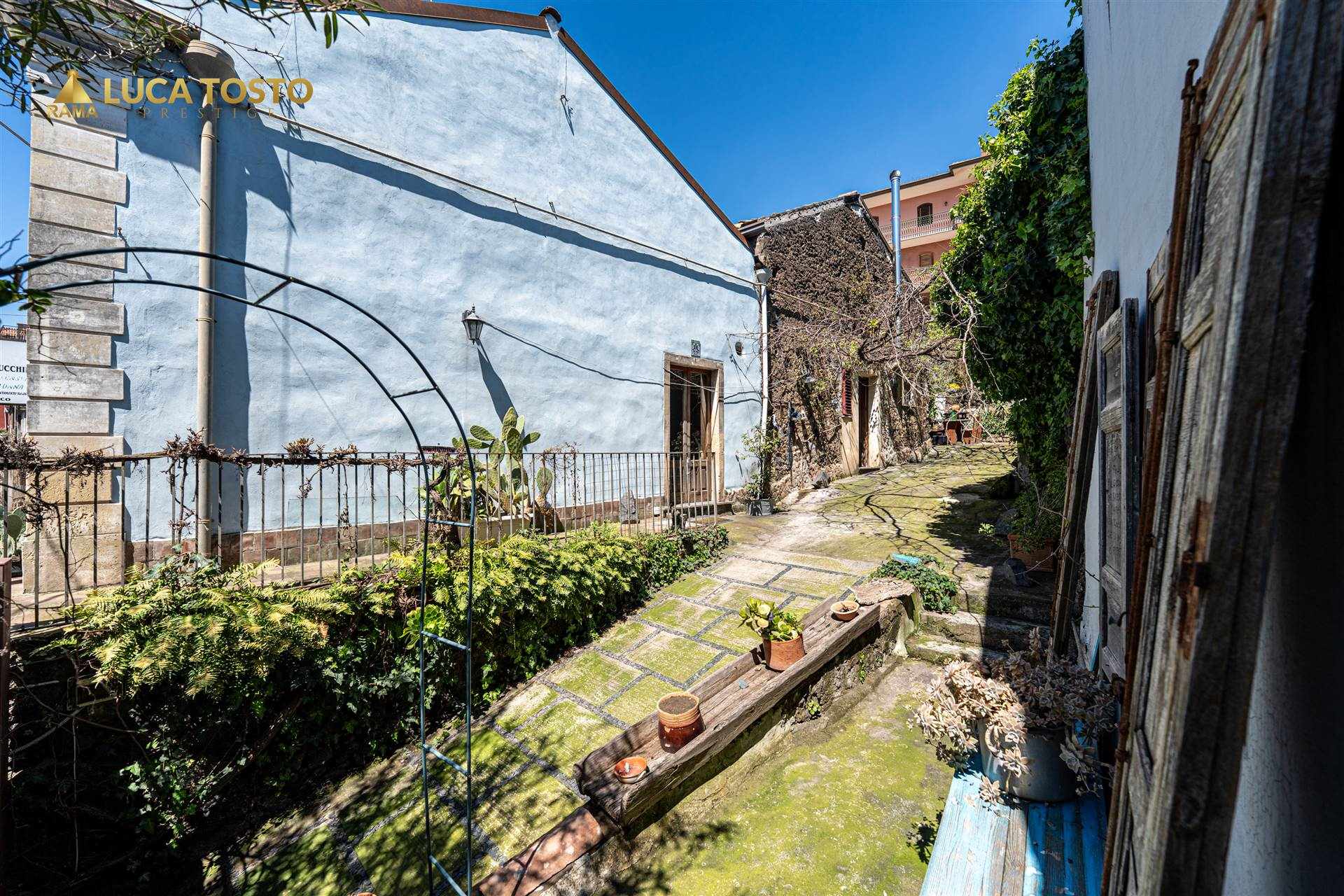 Vedi altre foto